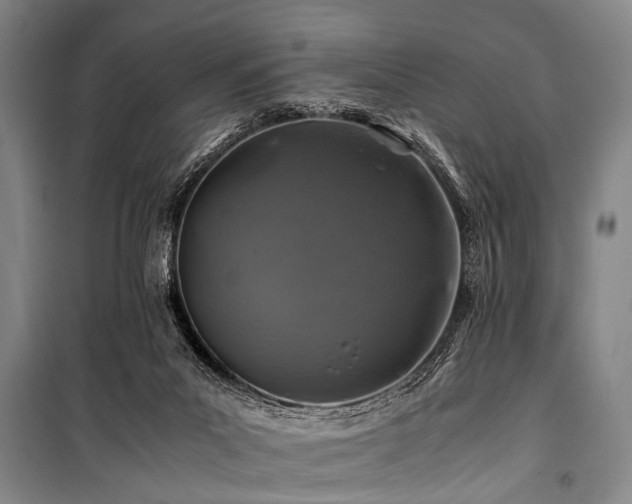 X0000101170023200806271045