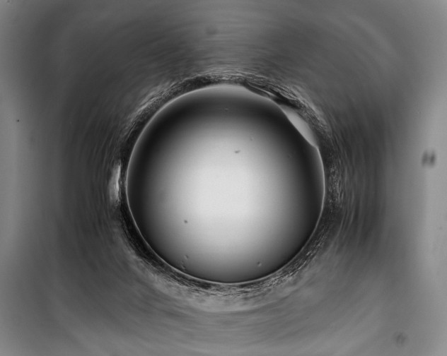 X0000101170024200806271045