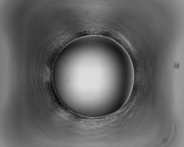 X0000101170025200806271045