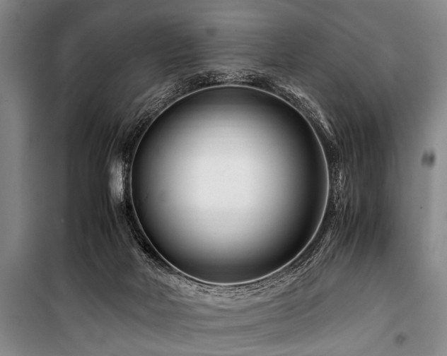 X0000101170026200806271045