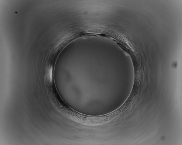 X0000101170027200806271045