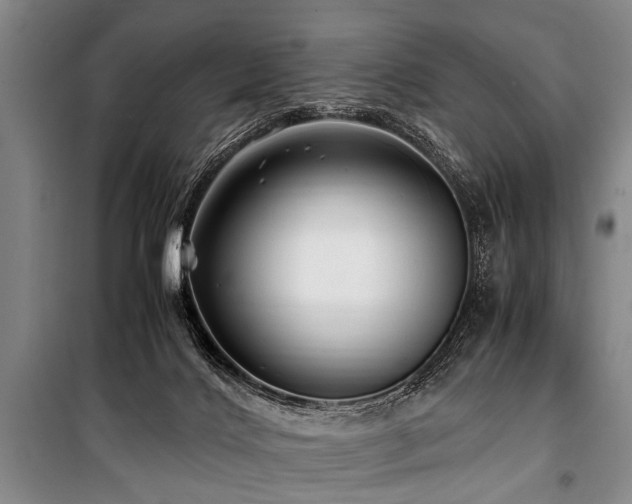 X0000101170028200806271045