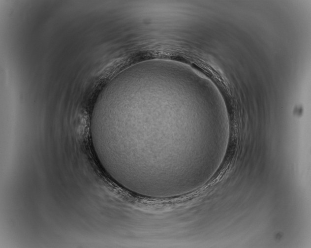 X0000101170029200806271045