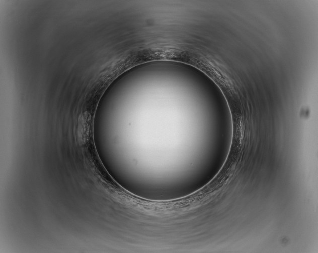 X0000101170030200806271045