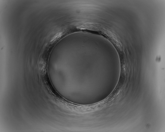 X0000101170031200806271045