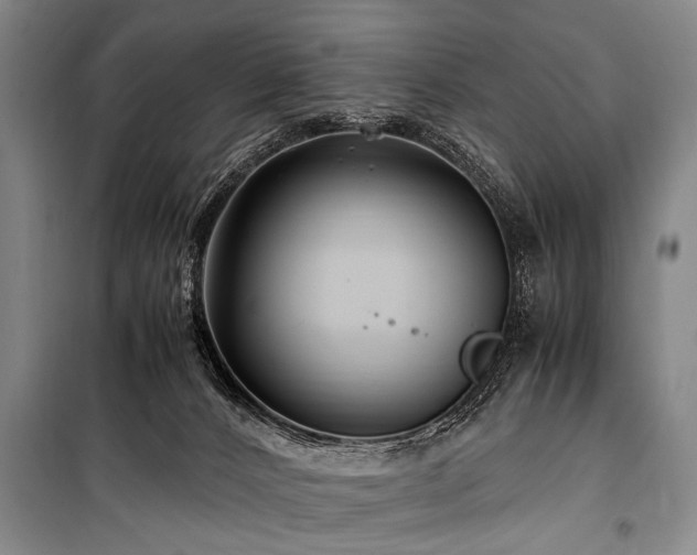 X0000101170032200806271045