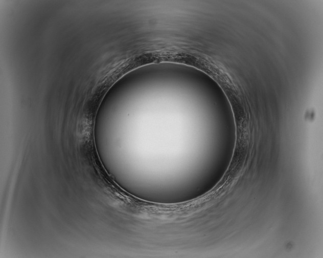 X0000101170033200806271045