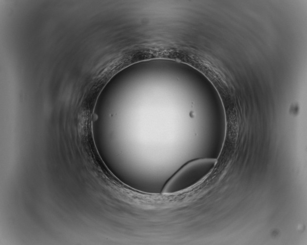 X0000101170034200806271045