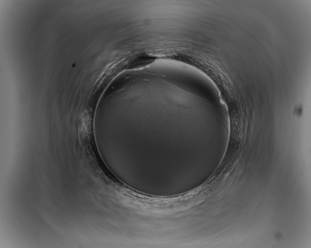 X0000101170035200806271045