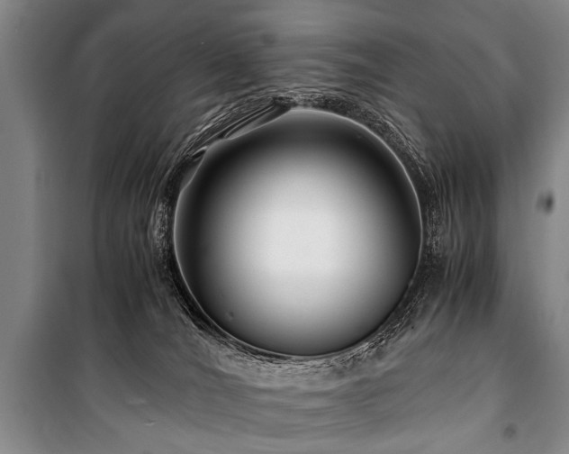X0000101170036200806271045
