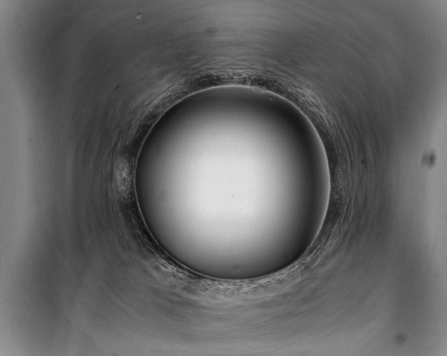 X0000101170037200806271045