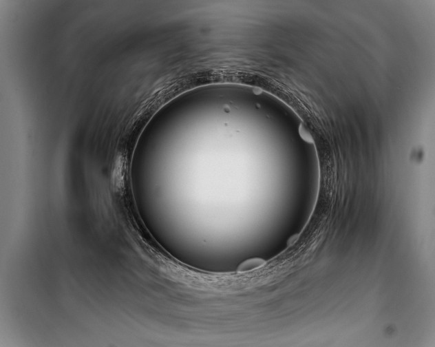 X0000101170038200806271045