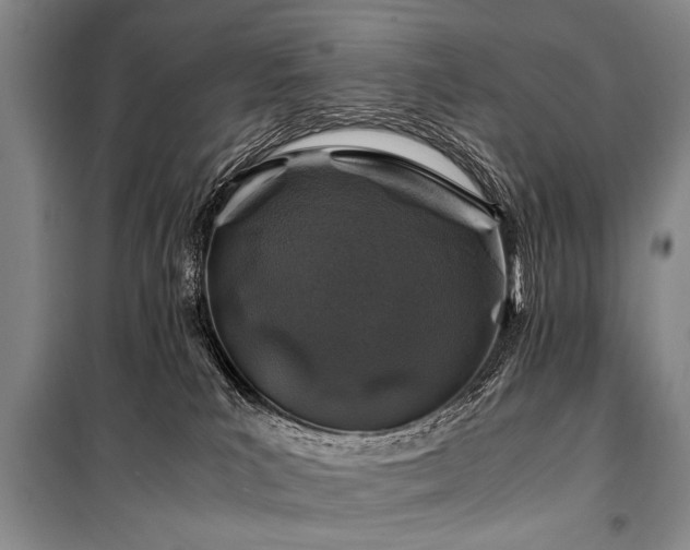 X0000101170039200806271045