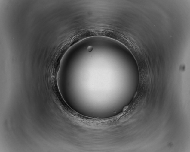 X0000101170040200806271045