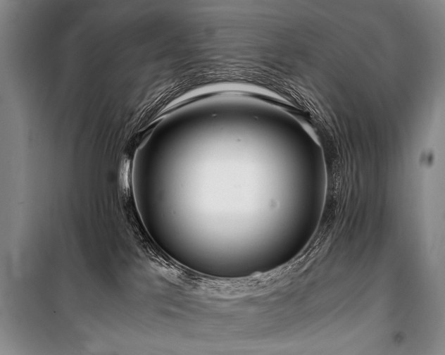X0000101170041200806271045