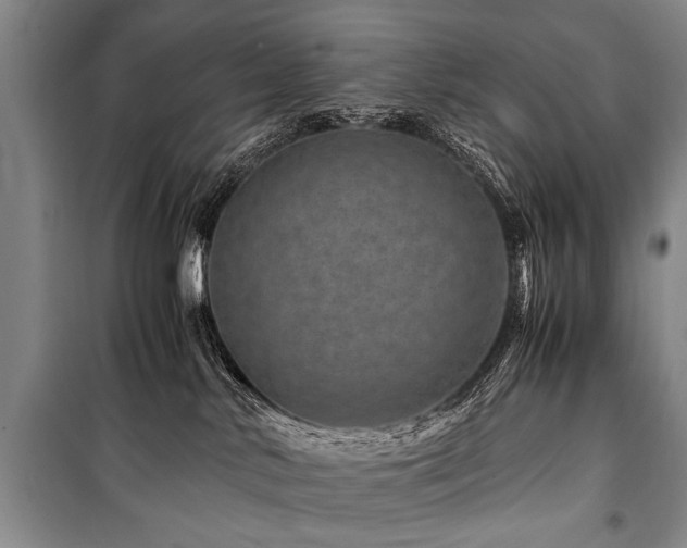 X0000101170042200806271045