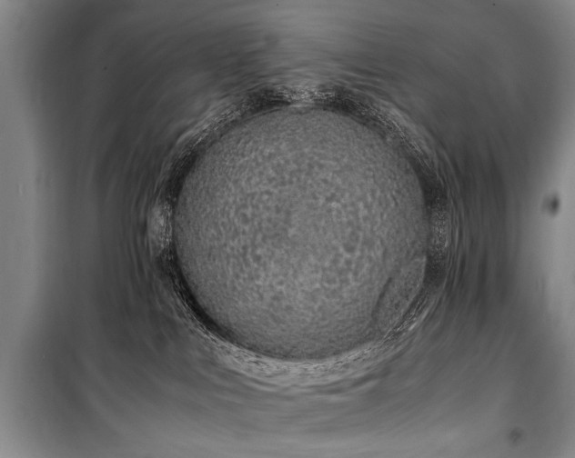 X0000101170043200806271045
