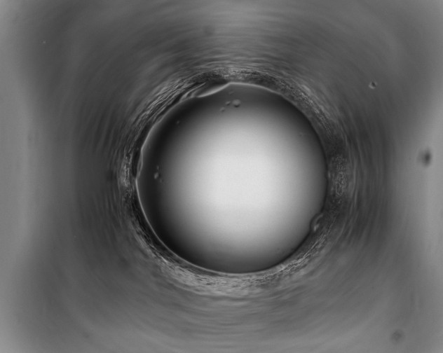 X0000101170044200806271045