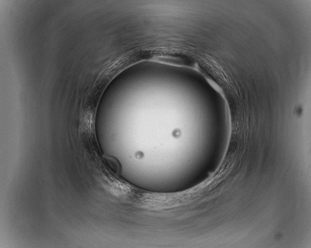 X0000101170045200806271045
