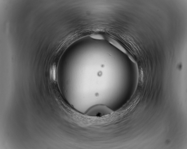 X0000101170046200806271045