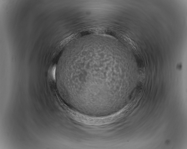 X0000101170047200806271045