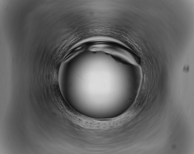 X0000101170048200806271045
