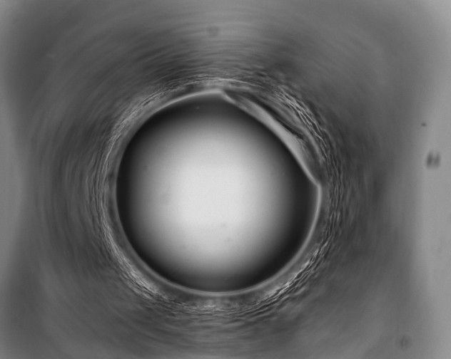 X0000101170049200806271044
