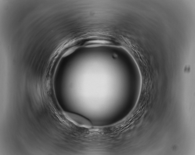 X0000101170050200806271044