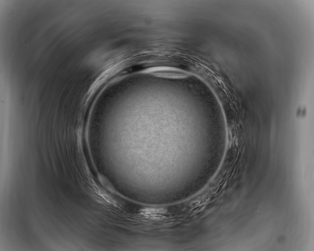 X0000101170051200806271044