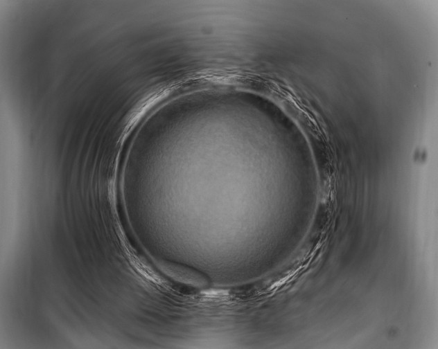 X0000101170052200806271044