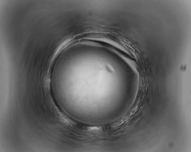 X0000101170053200806271044
