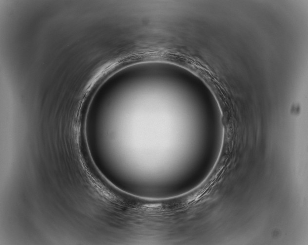 X0000101170054200806271044