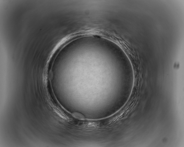 X0000101170056200806271044