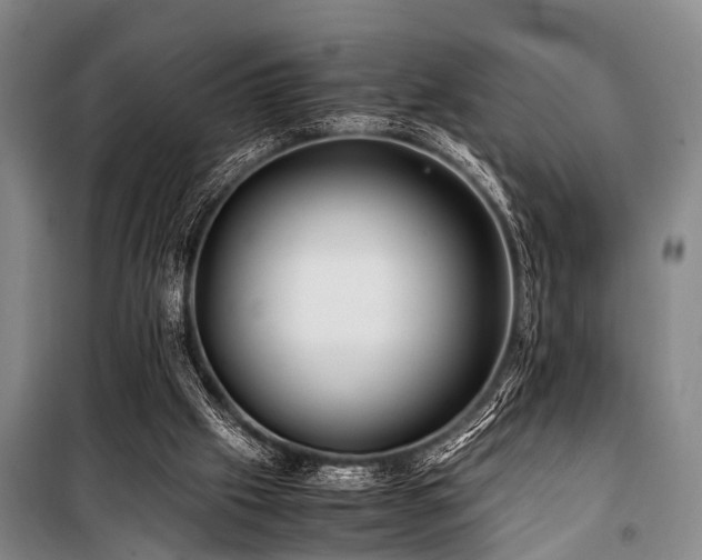 X0000101170057200806271044