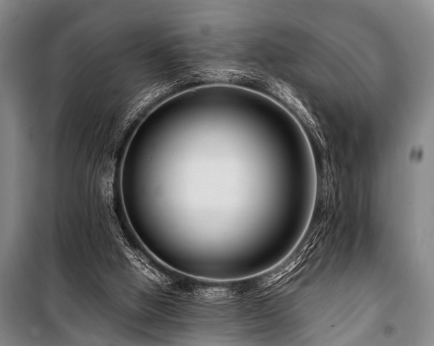 X0000101170058200806271044