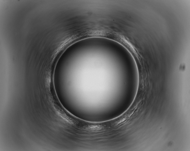 X0000101170059200806271045