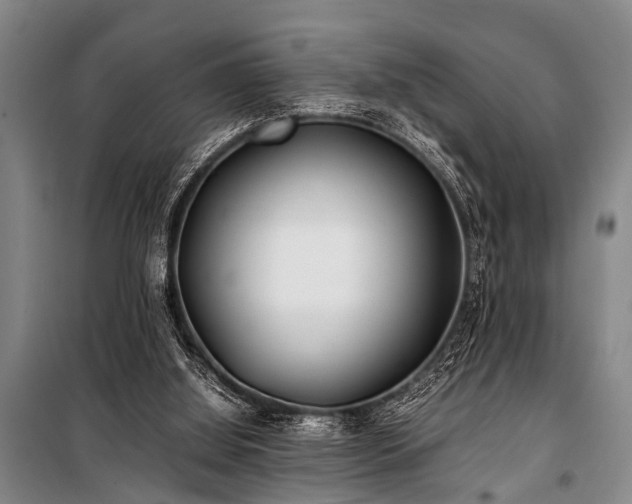 X0000101170060200806271045