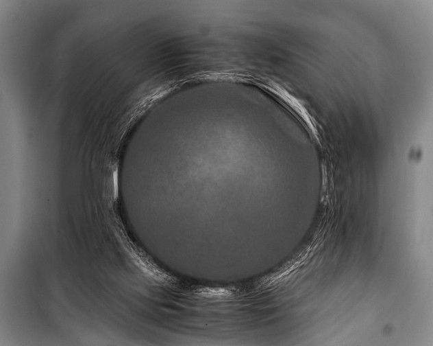 X0000101170061200806271045