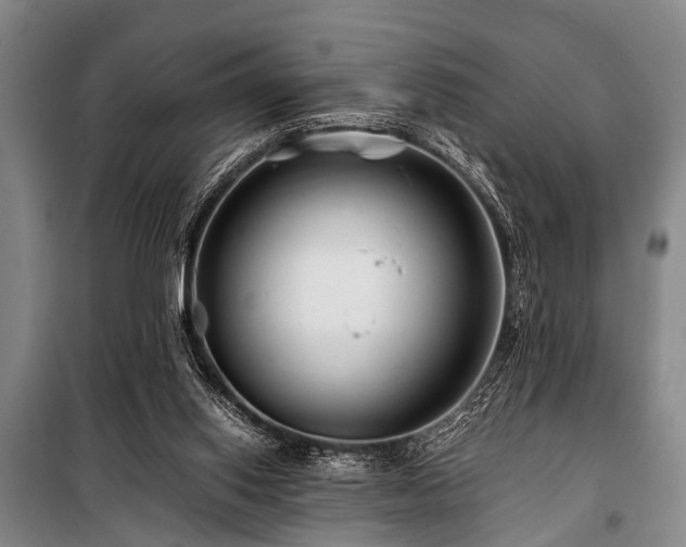 X0000101170062200806271045