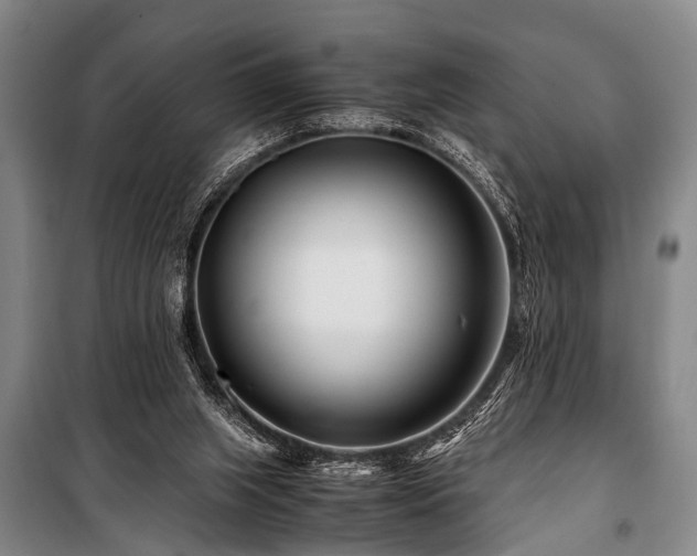 X0000101170063200806271045