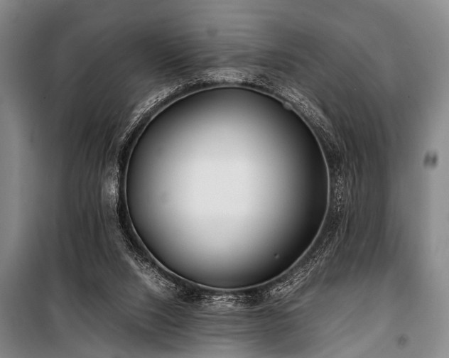 X0000101170064200806271045