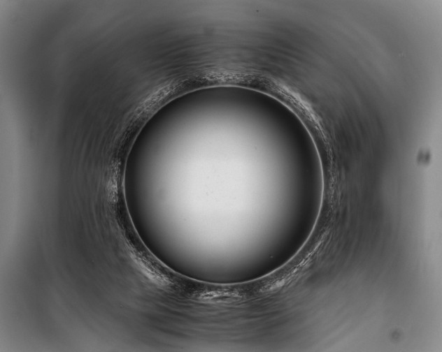 X0000101170065200806271045