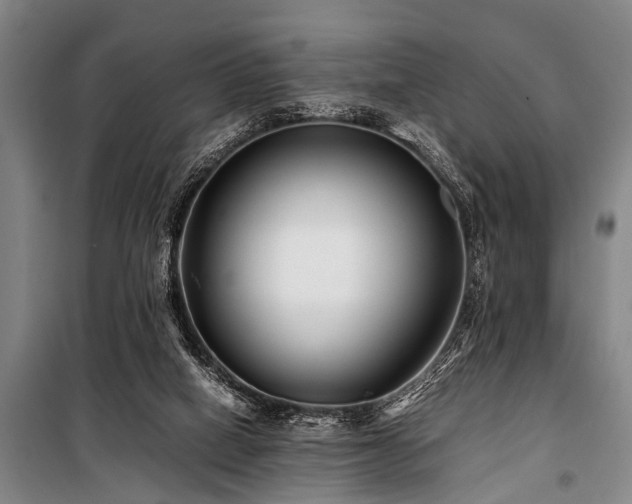 X0000101170066200806271045