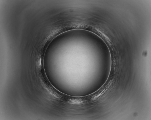 X0000101170067200806271045