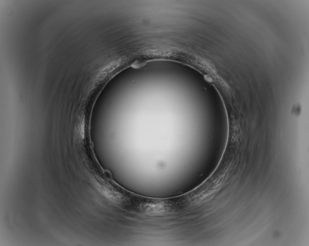 X0000101170068200806271045