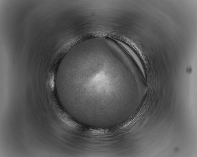 X0000101170069200806271045