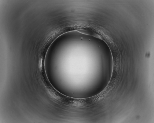 X0000101170070200806271045