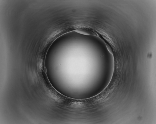 X0000101170071200806271045