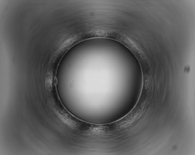 X0000101170072200806271045