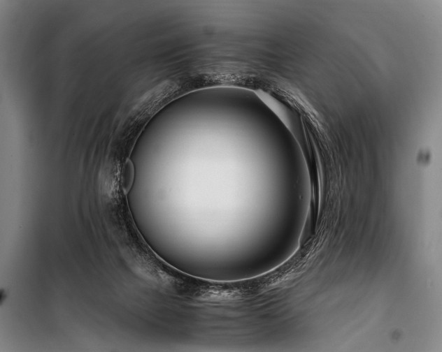 X0000101170073200806271045